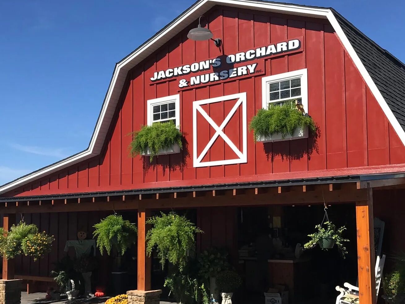 Picture of Jackson's Orchard & Nursery