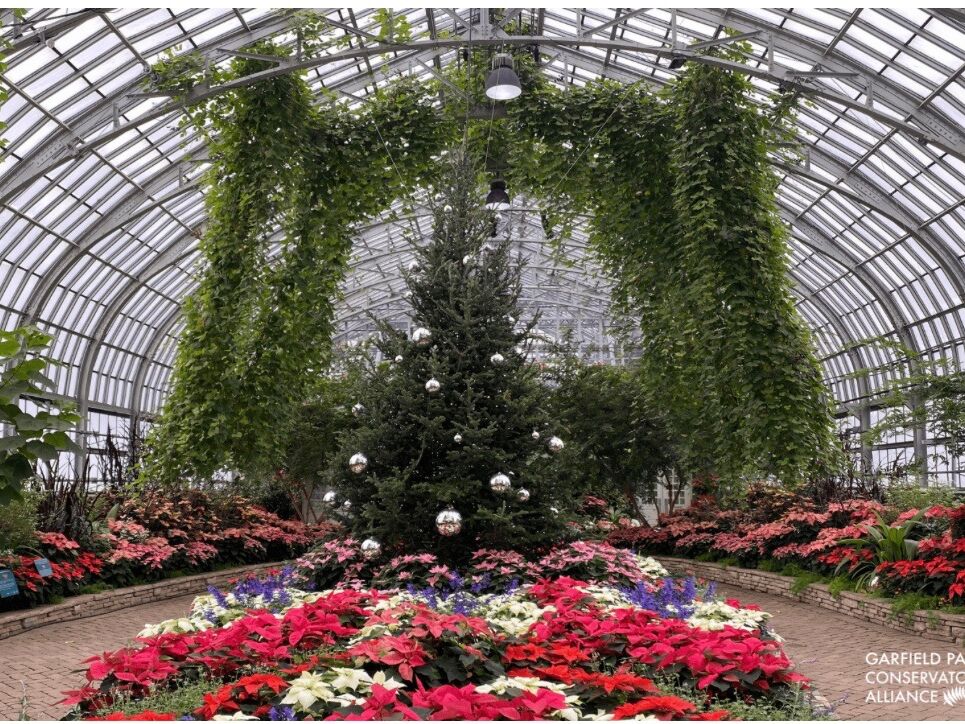 Picture of Garfield Park Conservatory - Reservations needed