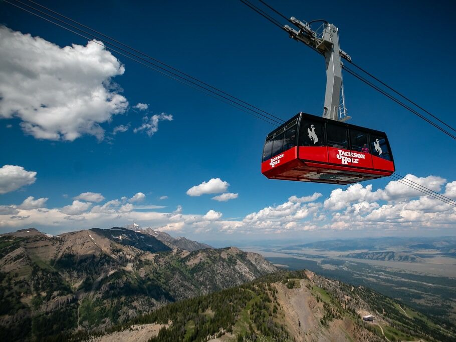 Picture of Jackson Hole Aerial Tram and Gondola Rides