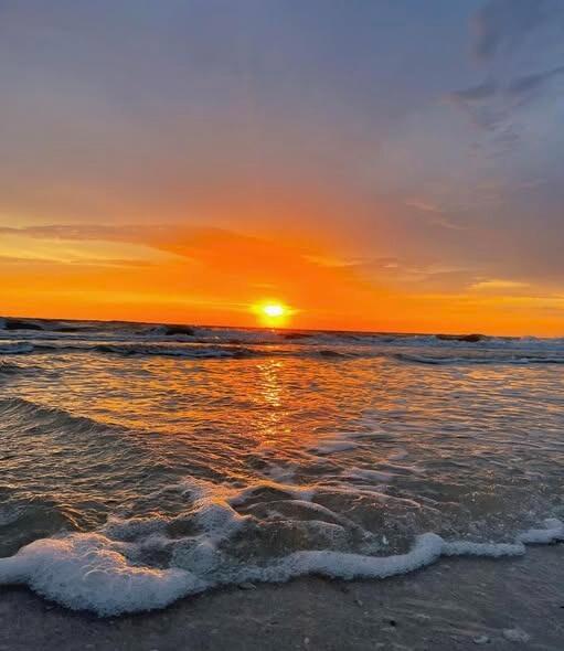 Picture of Sirata Beach Resort St Pete Beach