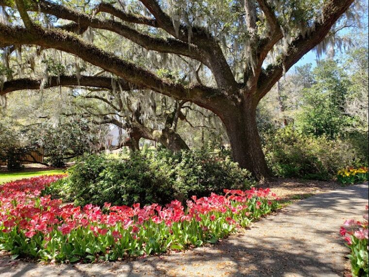 Picture of Airlie Gardens
