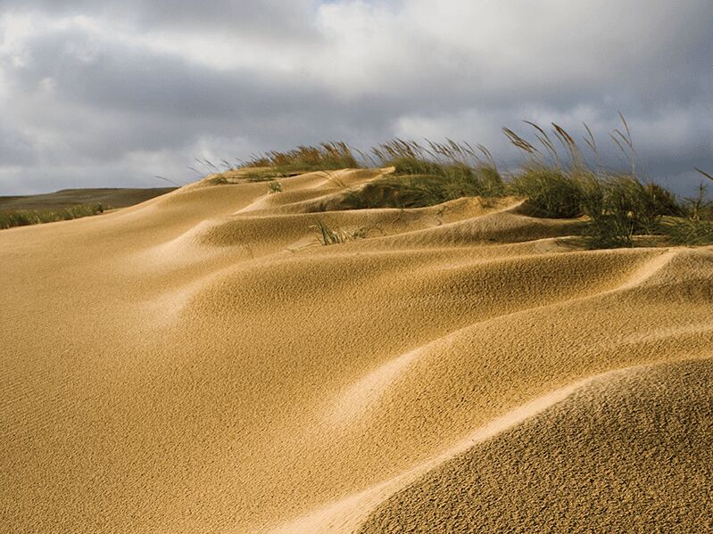 Picture of Jockey's Ridge State Park