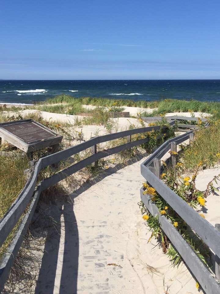 Picture of Sandy Neck Beach