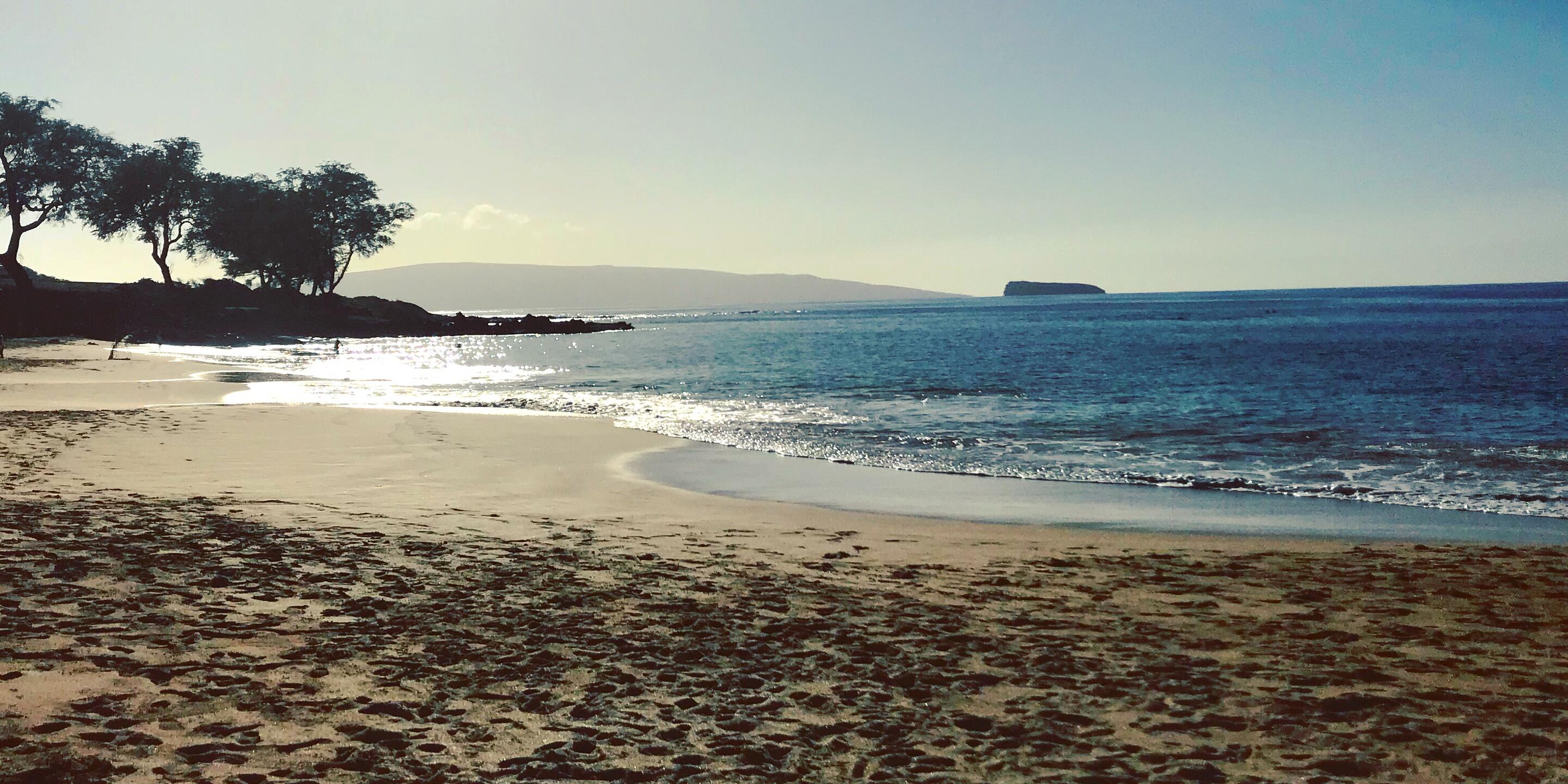 Picture of Maui No Ka 'Oi (Maui Is The Best)