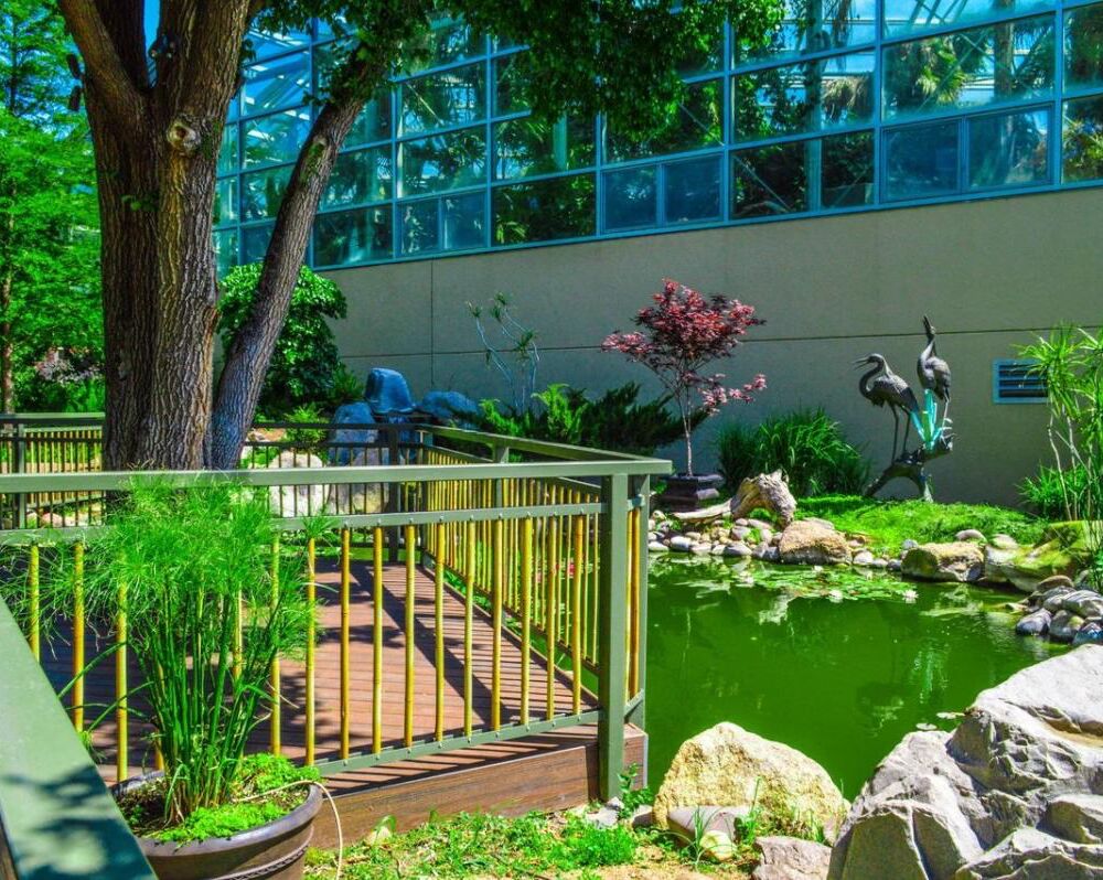 Picture of Amarillo Botanical Gardens