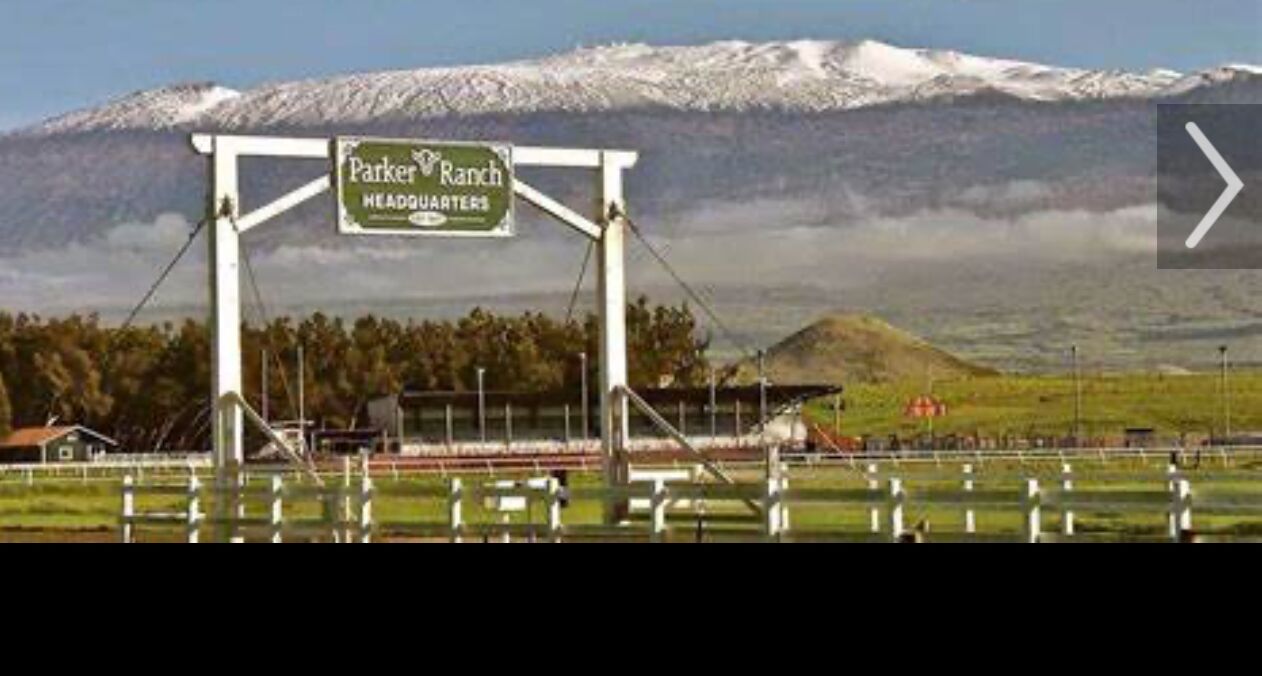 Picture of Parker Ranch (50 Minute Drive From Kona)