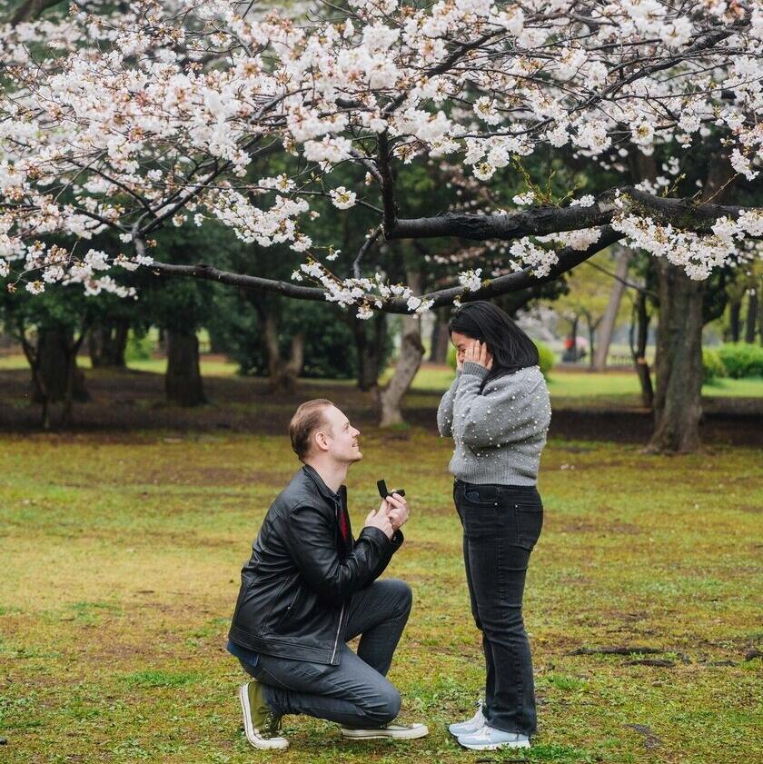 Picture of The proposal