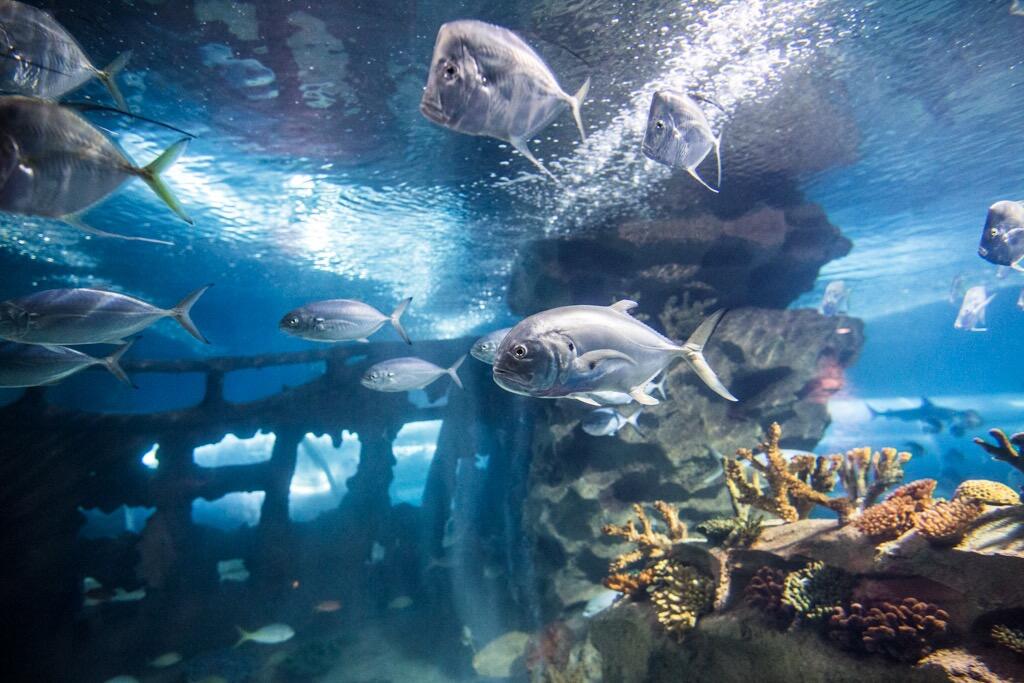 Picture of Greater Cleveland Aquarium