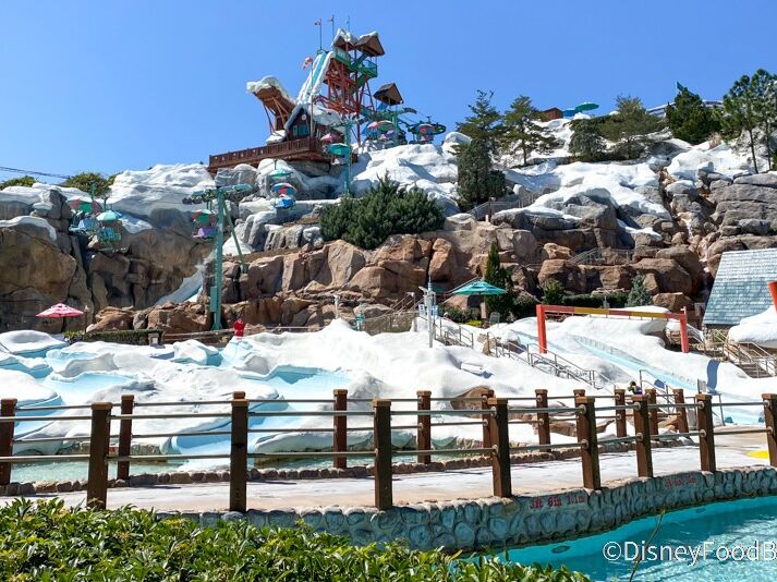 Picture of Disney's Blizzard Beach Water Park