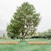 Earthy Hues Complemented The Ranch Venue This Duo Chose for Their Palm Springs Nuptials