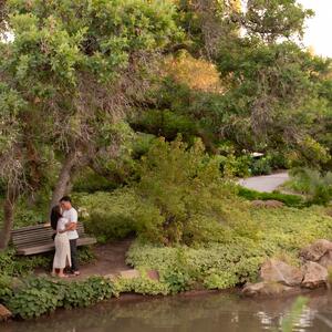 Gallery Photo 8