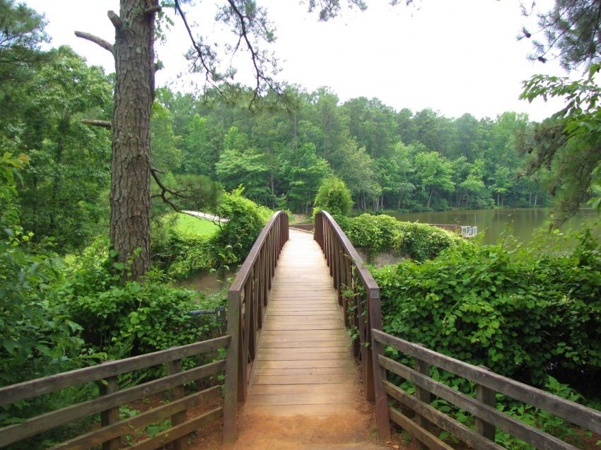 Picture of William B. Umstead State Park
