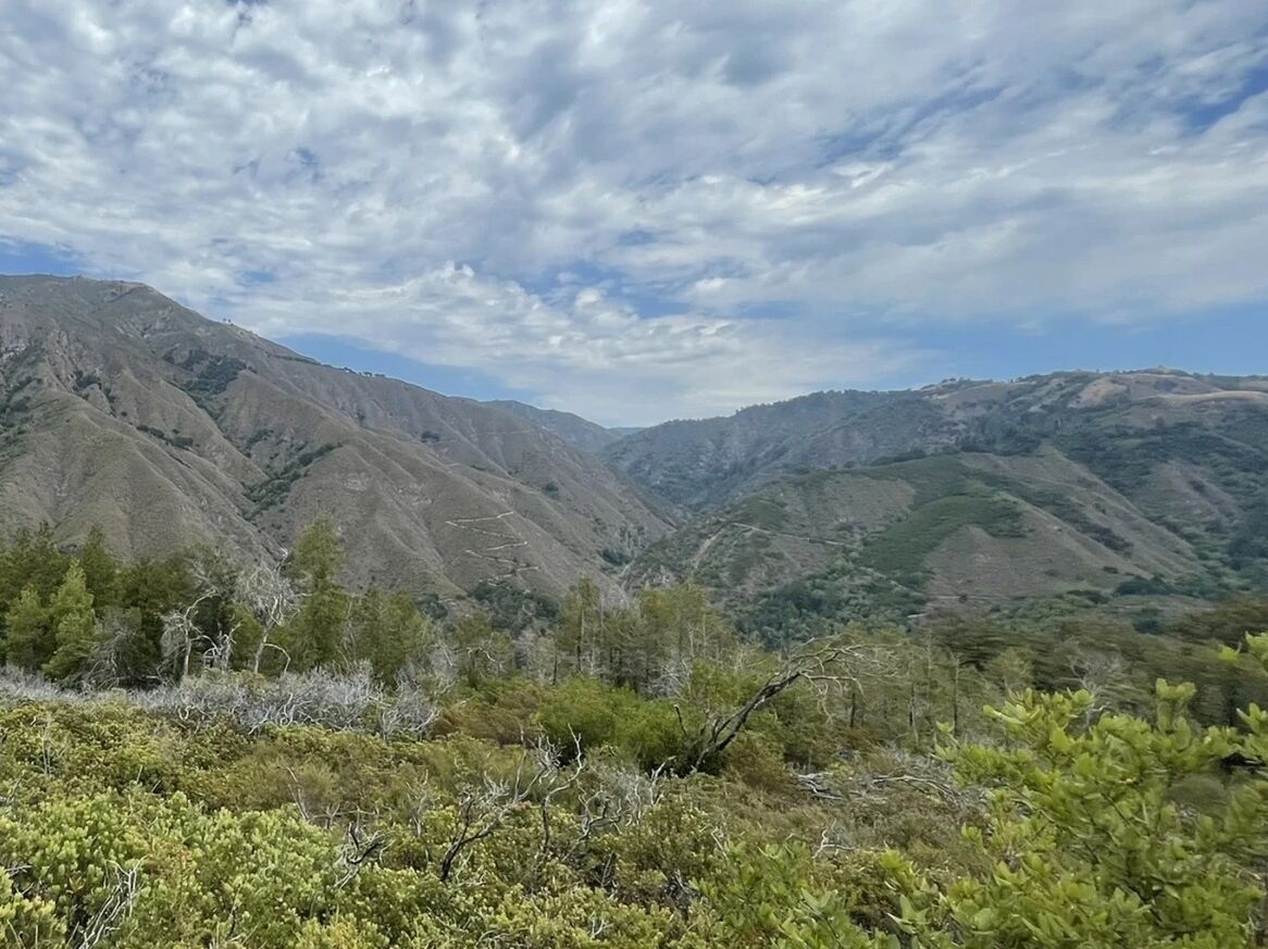 Picture of Buzzards Roost Trail