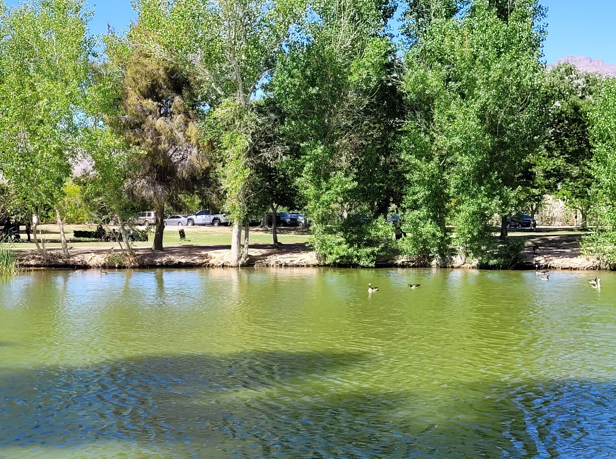 Picture of Tule Springs/Floyd Lamb Park - Rental car only adventure