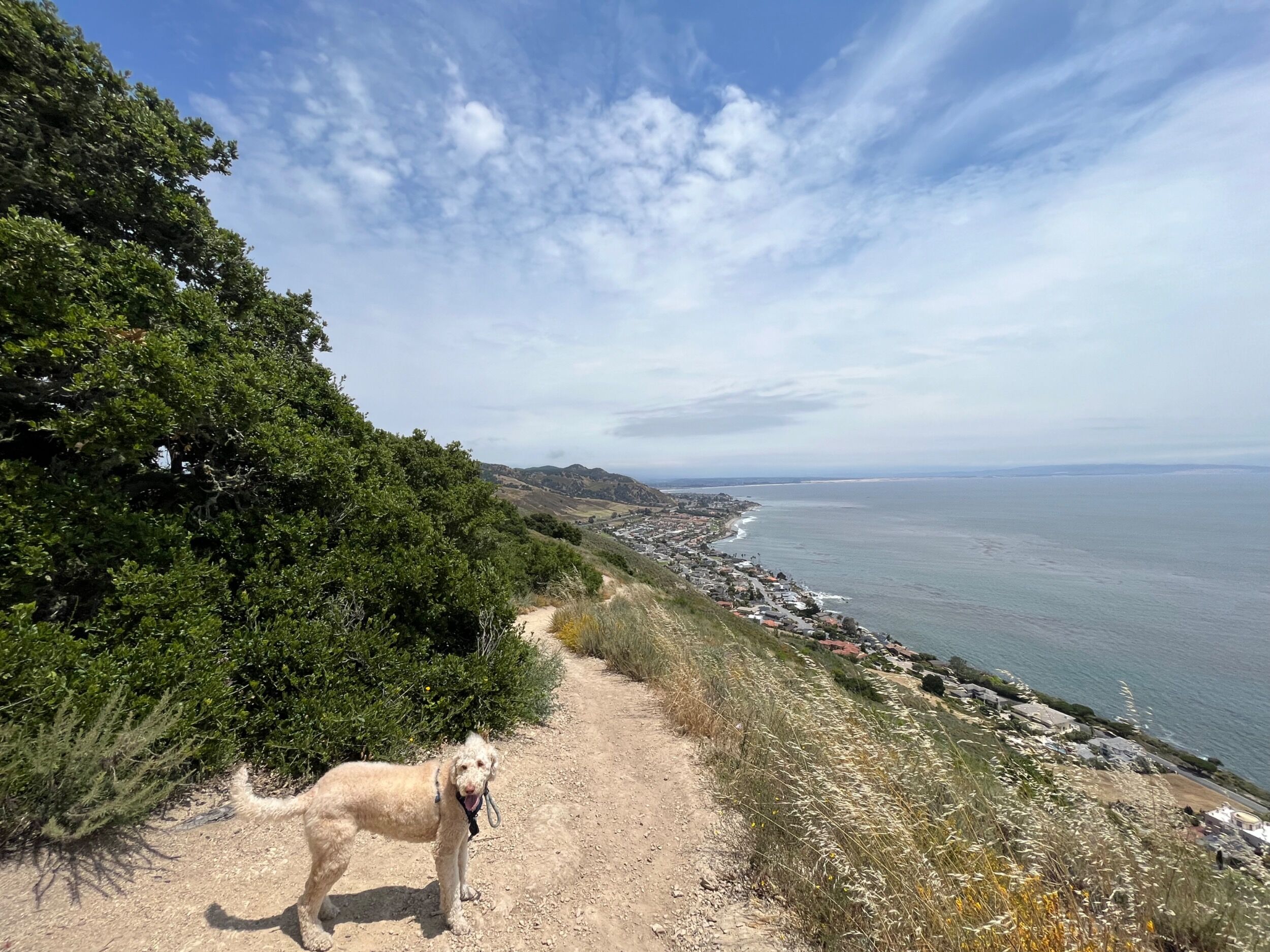 Picture of Ontario Ridge Trailhead