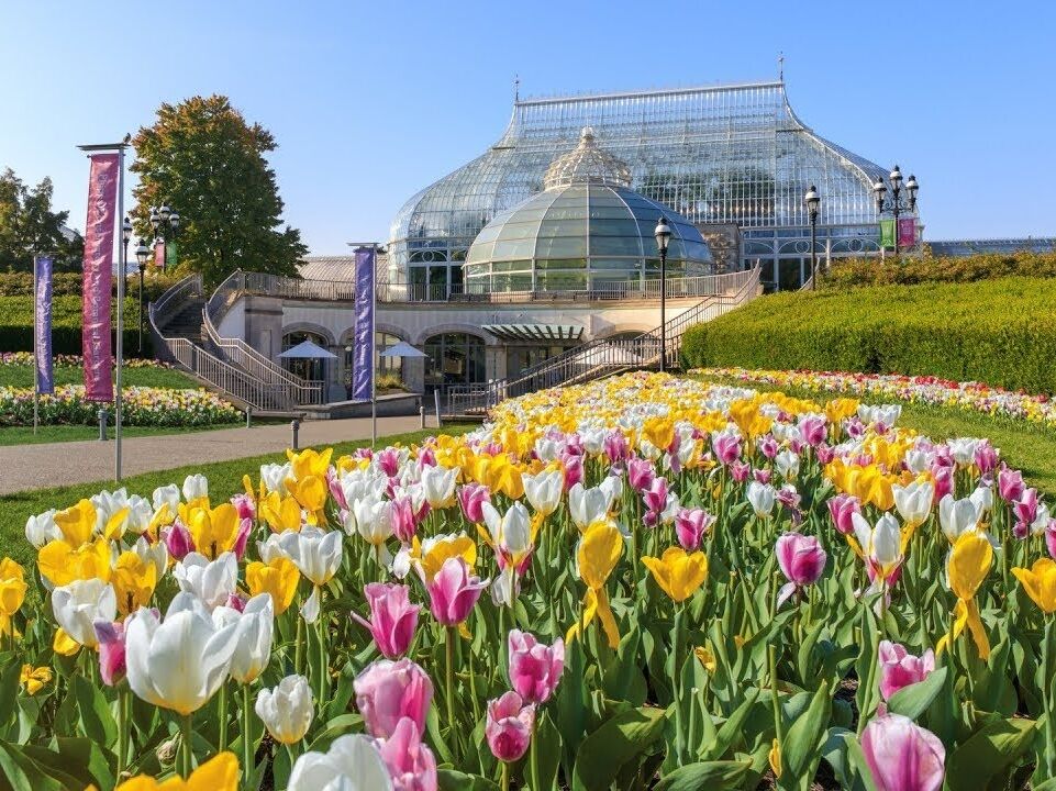 Picture of Phipps Conservatory and Botanical Gardens