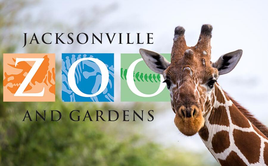 Picture of Jacksonville Zoo & Gardens