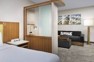 Picture of SpringHill Suites by Marriott Potomac Mills Woodbridge