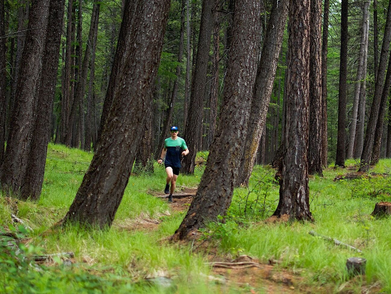 Picture of Lois Creek Park