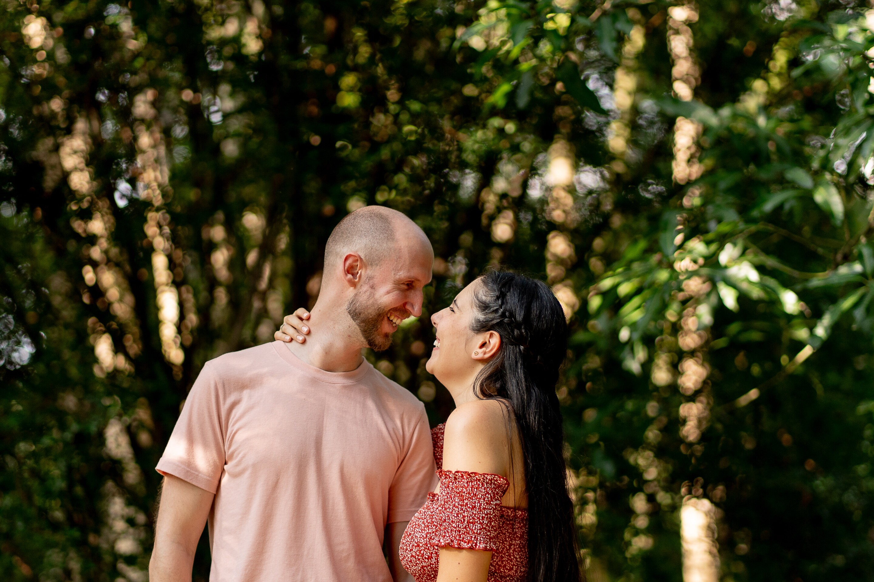 Tom & Dani Home Page Banner