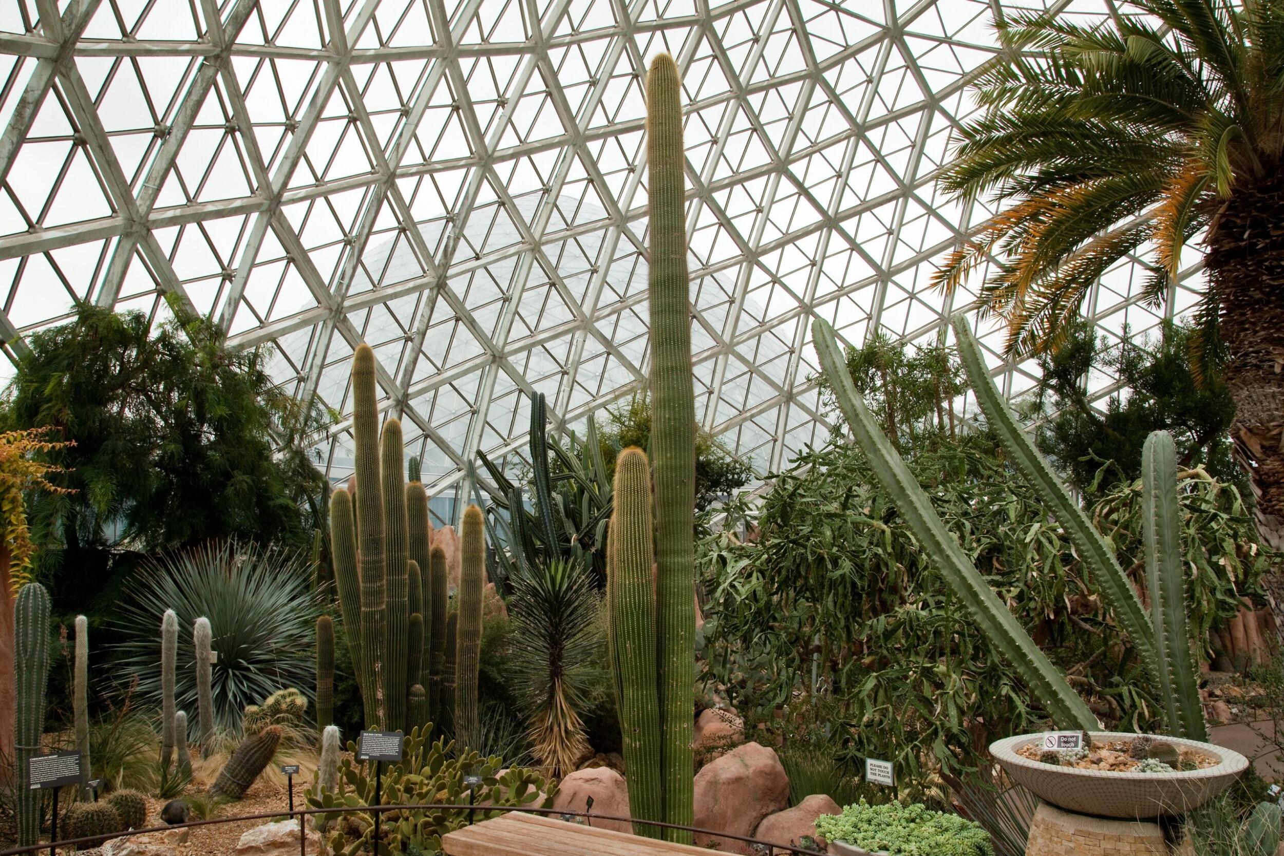 Picture of Mitchell Park Domes Horticulture Conservatory
