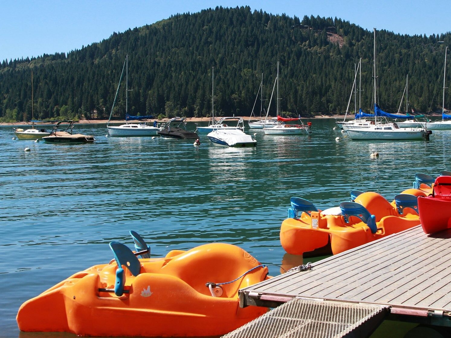 Picture of Scotts Flat Lake Camping