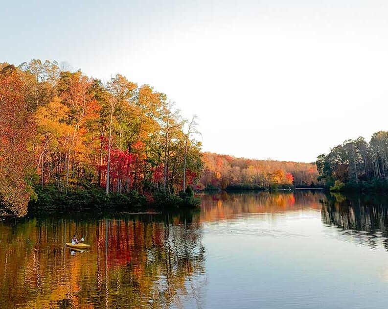 Picture of Paddling