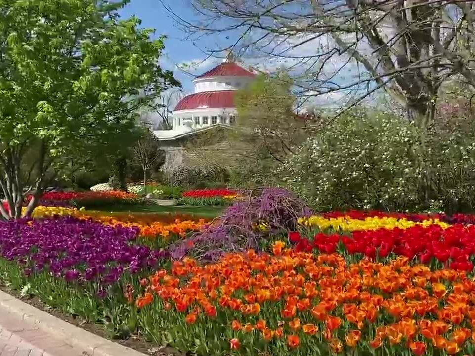 Picture of Cincinnati Zoo & Botanical Garden