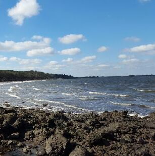 Picture of Little Talbot Island and State Park