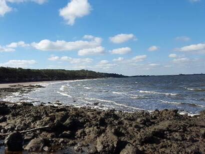 Picture of Little Talbot Island and State Park