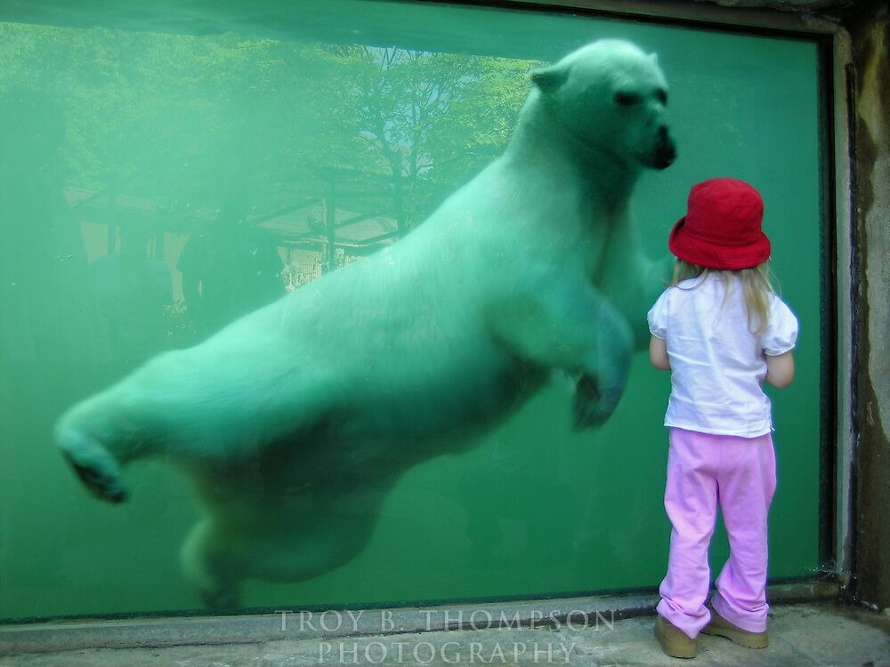 Picture of EcoTarium