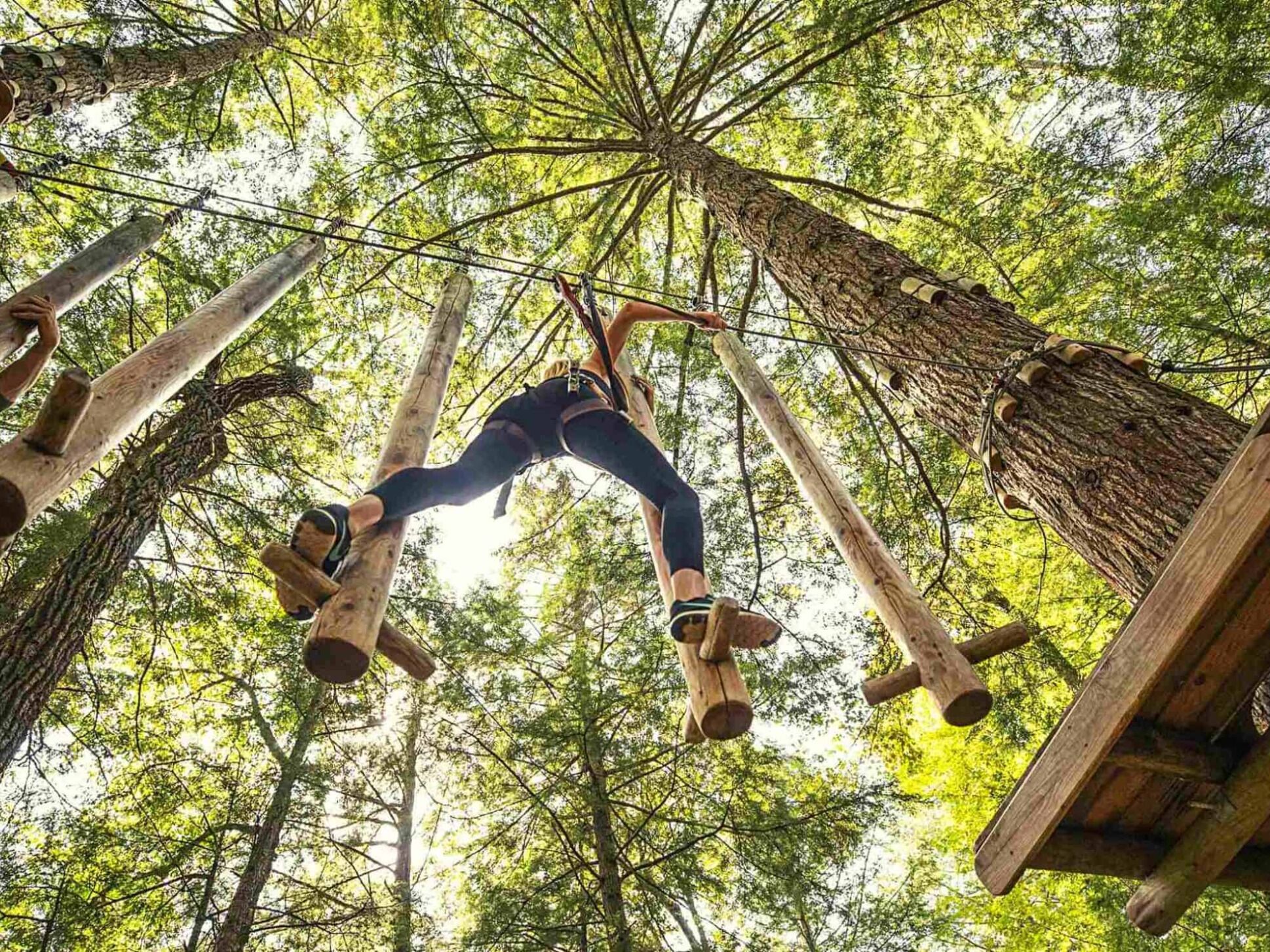 Picture of Adirondack Extreme Adventure Course