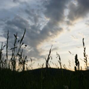 Gallery Photo 26