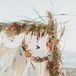 Dream Catcher Wedding Arch