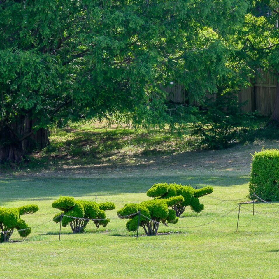 Picture of Ladew Topiary Gardens