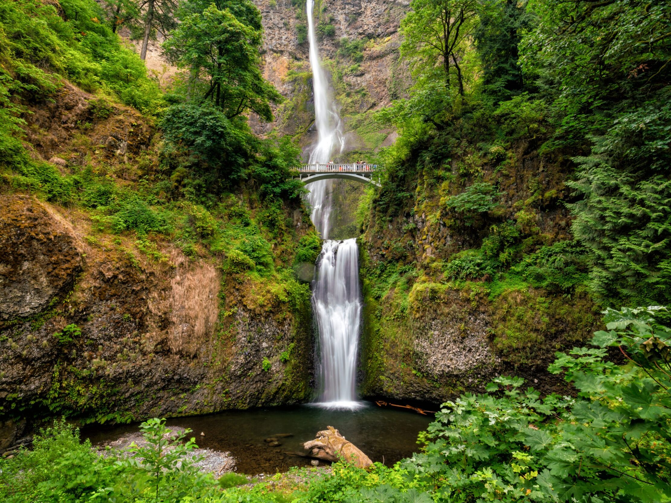 Picture of Multnomah Falls