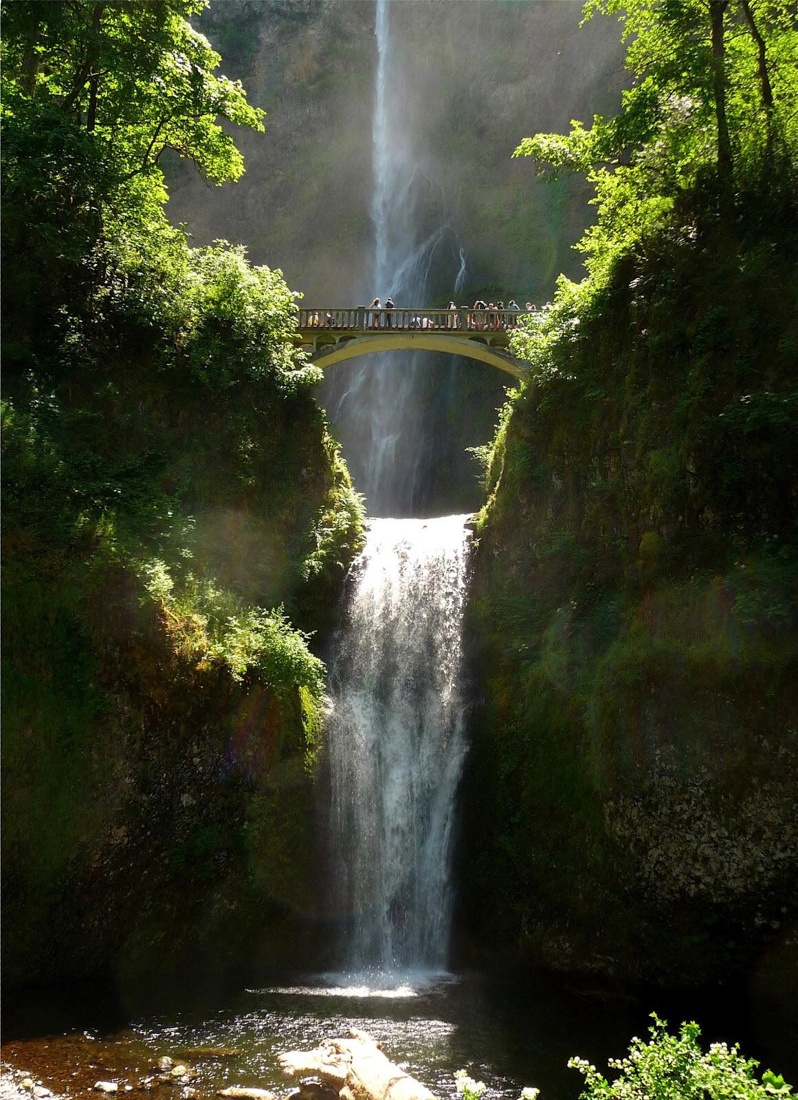 Picture of See the glory of the Columbia Gorge