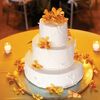 Alexis & Phil: An Outdoor Wedding in Golden, CO