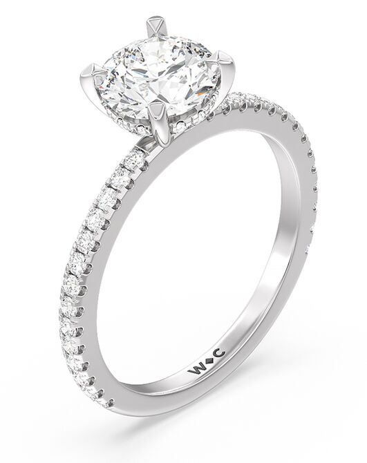 With Clarity Glamorous Princess, Cushion, Emerald, Radiant, Round, Oval Cut Engagement Ring - 2
