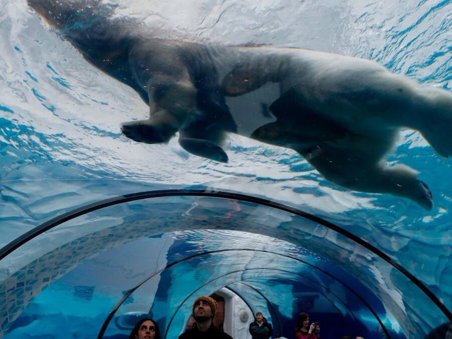 Picture of Detroit Zoo