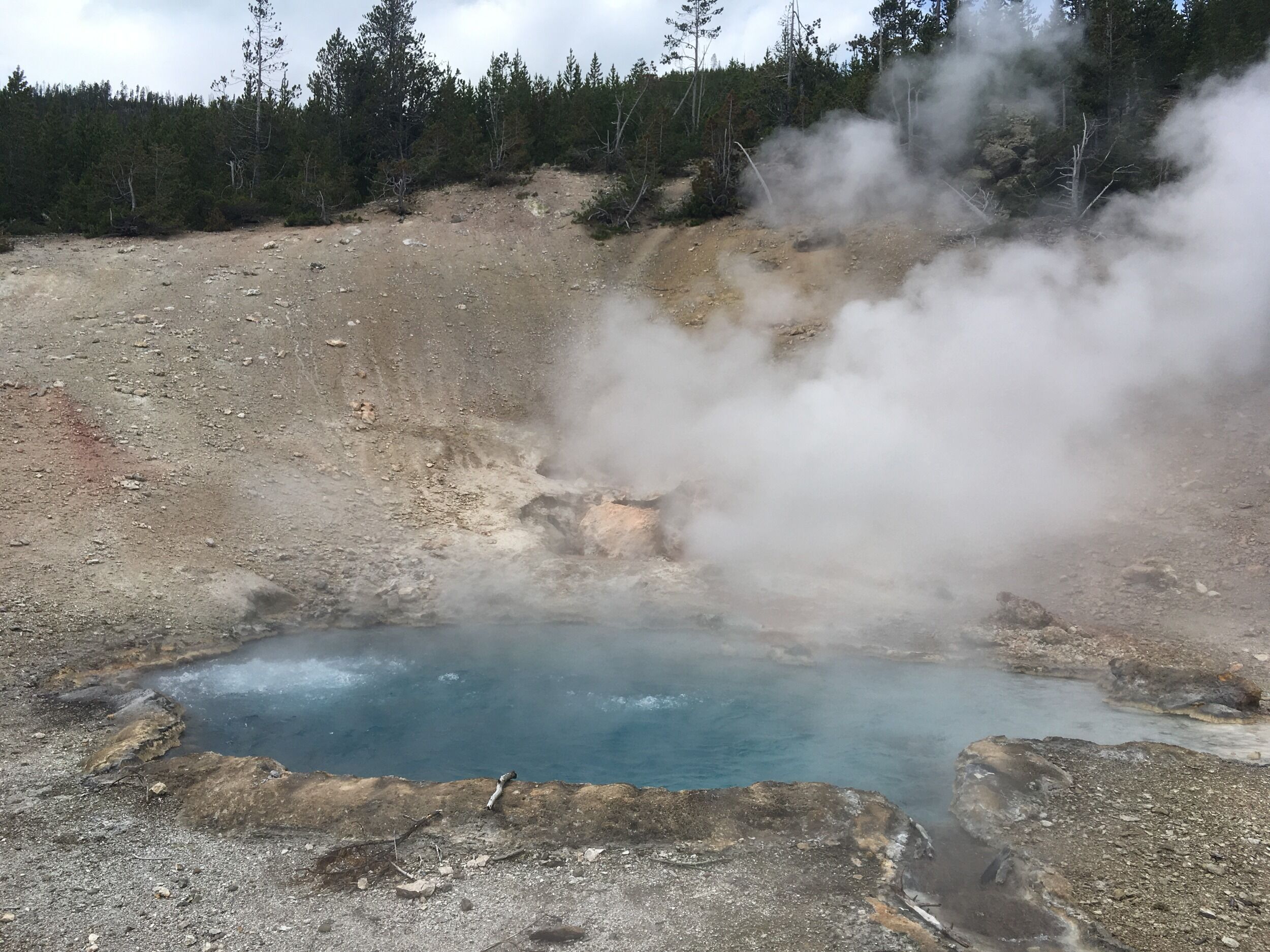 Picture of Yellowstone National Park