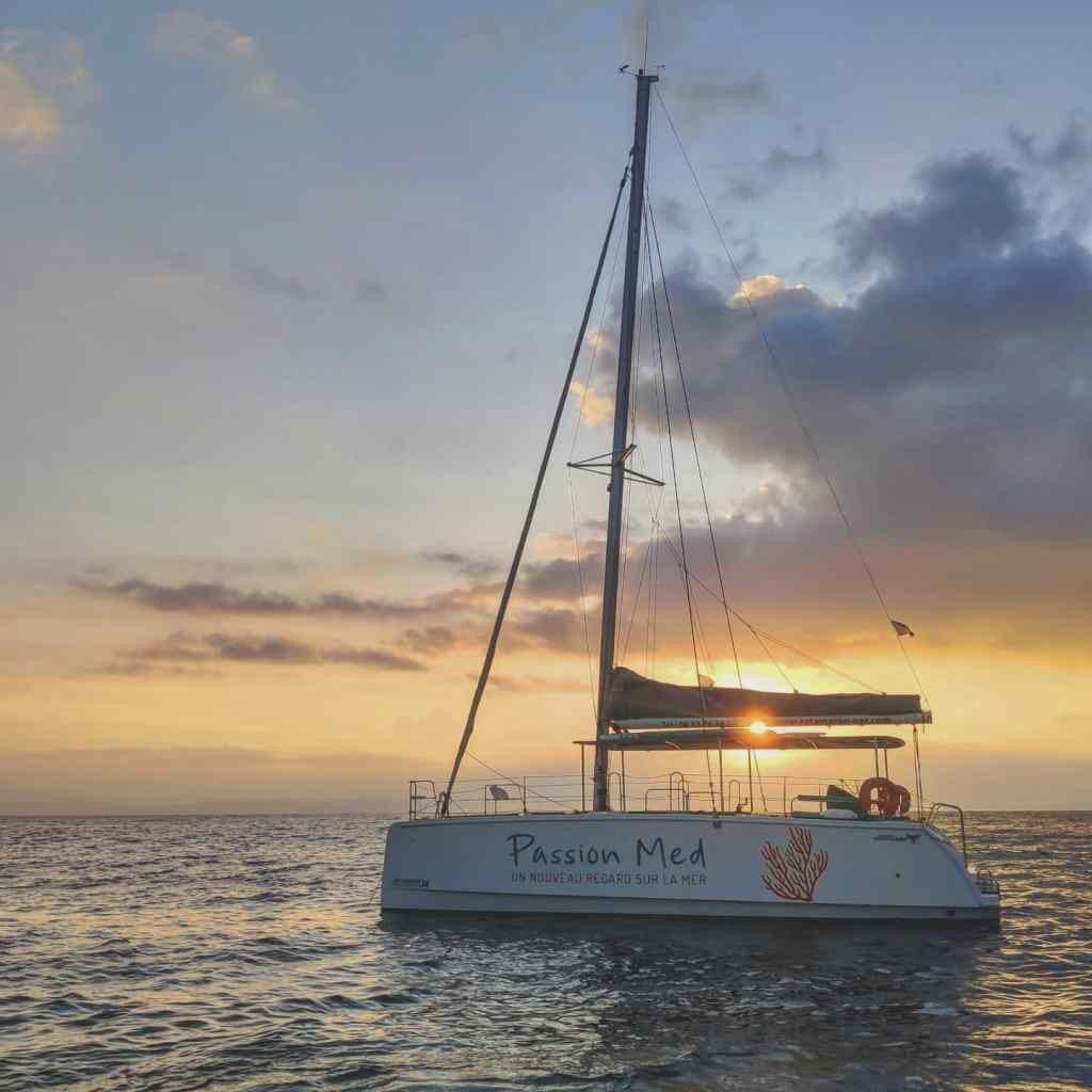 Picture of Spend the day on a Catamaran