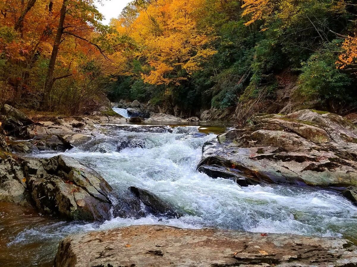 Picture of Bottom Creek Gorge Preserve