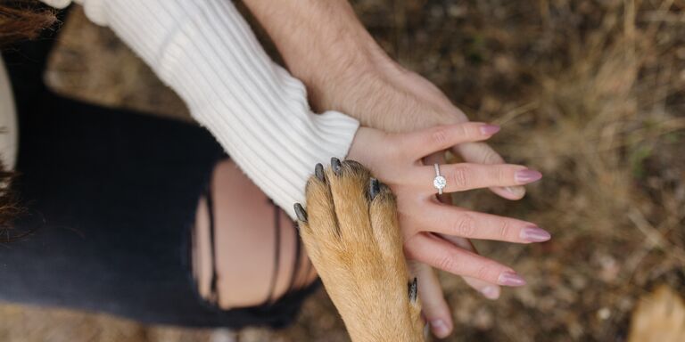 Sariah & Nick Home Page Banner