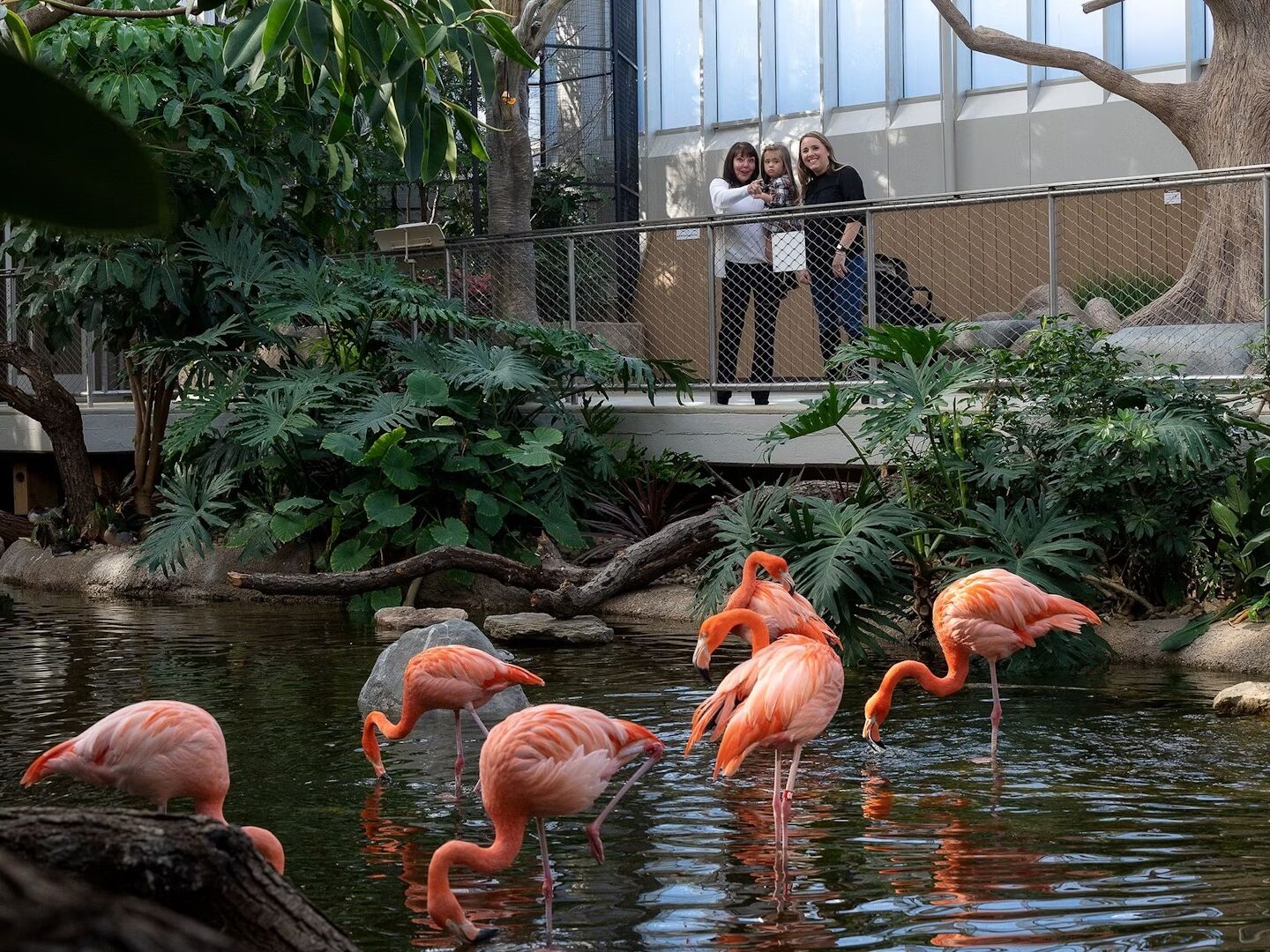 Picture of National Aviary