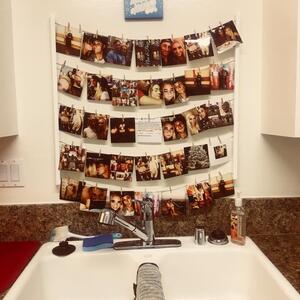 Gallery Photo 552