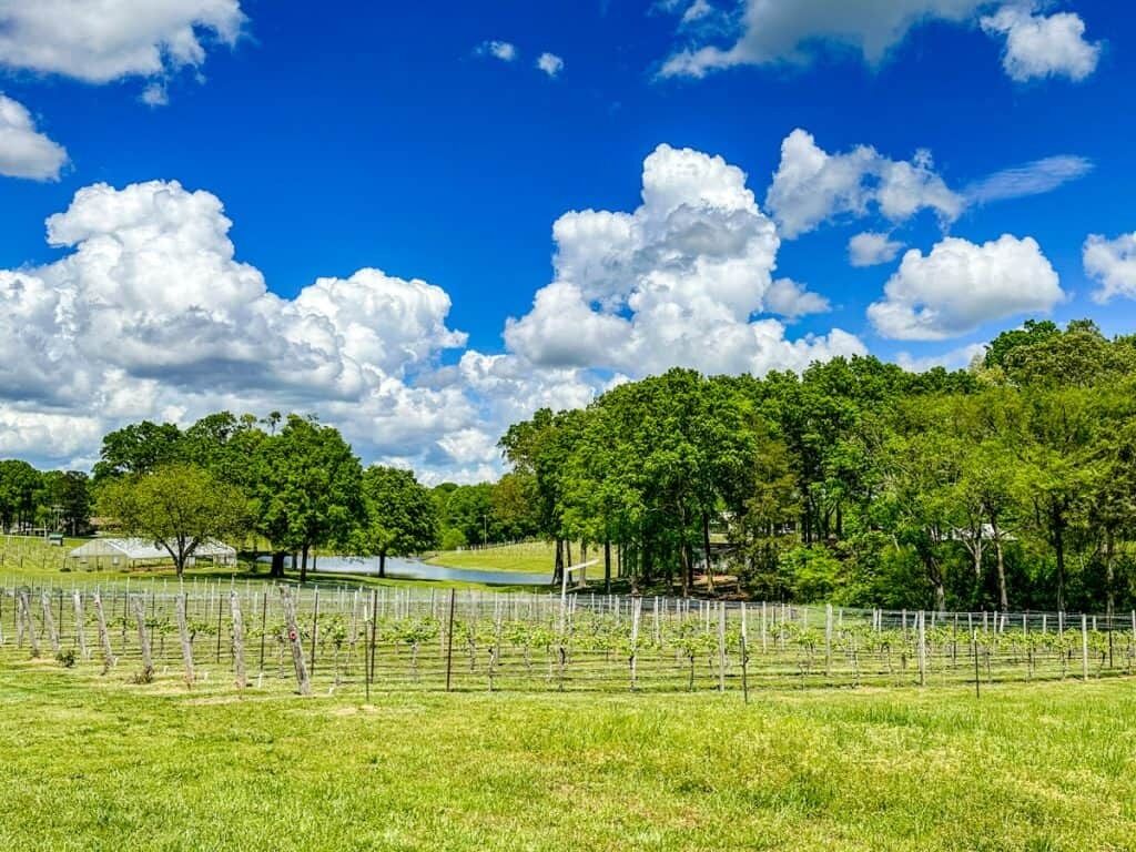 Picture of Kefi Vineyards & Winery