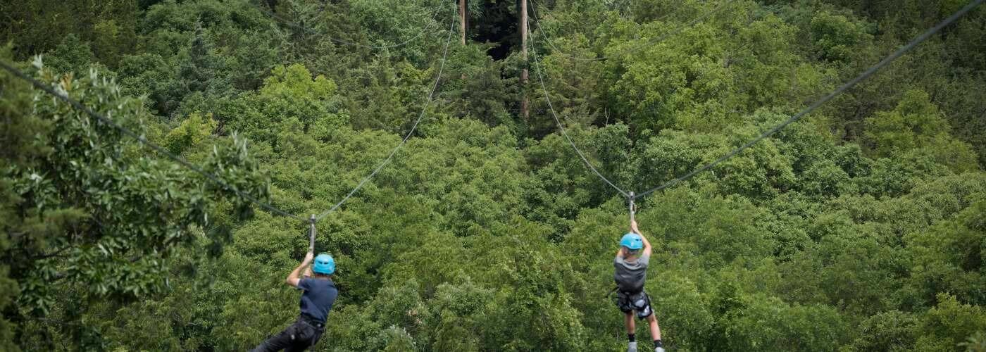 Picture of Wildwood Adventure Park