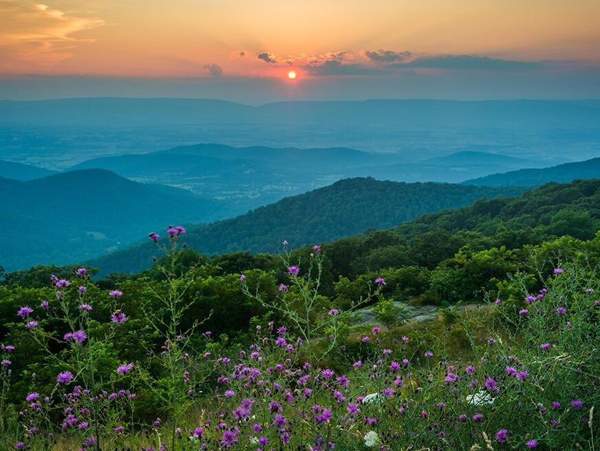 Picture of Shenandoah National Park