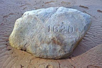 Picture of Plymouth Rock